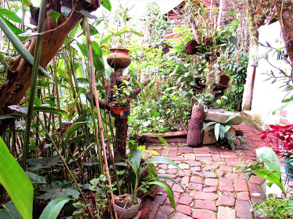 Hotel Casa Tarzan San Agustin מראה חיצוני תמונה